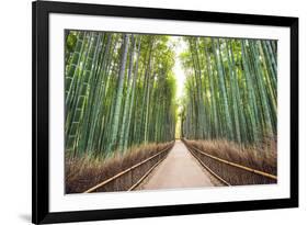 Bamboo Forest of Kyoto, Japan.-SeanPavonePhoto-Framed Photographic Print