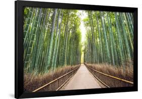 Bamboo Forest of Kyoto, Japan.-SeanPavonePhoto-Framed Photographic Print