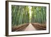 Bamboo Forest of Kyoto, Japan.-SeanPavonePhoto-Framed Photographic Print