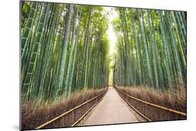 Bamboo Forest of Kyoto, Japan.-SeanPavonePhoto-Mounted Photographic Print