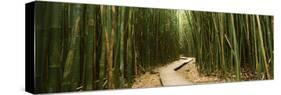 Bamboo Forest, Oheo Gulch, Seven Sacred Pools, Hana, Maui, Hawaii, USA-null-Stretched Canvas