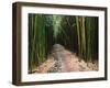 Bamboo Forest on the Waimoku Falls Trail, South of Hana, Maui, Hawaii, USA-Charles Sleicher-Framed Premium Photographic Print