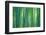 Bamboo Forest, Sagano, Kyoto, Japan-null-Framed Photographic Print