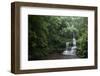 Bamboo Forest, Sichuan Province, China, Asia-Michael Snell-Framed Photographic Print