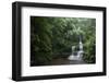 Bamboo Forest, Sichuan Province, China, Asia-Michael Snell-Framed Photographic Print