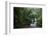 Bamboo Forest, Sichuan Province, China, Asia-Michael Snell-Framed Photographic Print