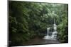 Bamboo Forest, Sichuan Province, China, Asia-Michael Snell-Mounted Photographic Print