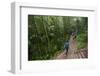 Bamboo Forest, Sichuan Province, China, Asia-Michael Snell-Framed Photographic Print