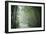Bamboo Forest, Sichuan Province, China, Asia-Michael Snell-Framed Photographic Print