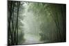 Bamboo Forest, Sichuan Province, China, Asia-Michael Snell-Mounted Photographic Print