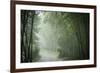 Bamboo Forest, Sichuan Province, China, Asia-Michael Snell-Framed Photographic Print