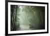 Bamboo Forest, Sichuan Province, China, Asia-Michael Snell-Framed Photographic Print