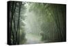 Bamboo Forest, Sichuan Province, China, Asia-Michael Snell-Stretched Canvas