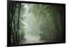 Bamboo Forest, Sichuan Province, China, Asia-Michael Snell-Framed Photographic Print