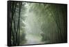 Bamboo Forest, Sichuan Province, China, Asia-Michael Snell-Framed Stretched Canvas
