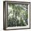 Bamboo Forest-Micha Pawlitzki-Framed Photographic Print