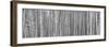 Bamboo Forest-Scott Bennion-Framed Photo