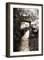 Bamboo Garden I-Alan Hausenflock-Framed Photographic Print