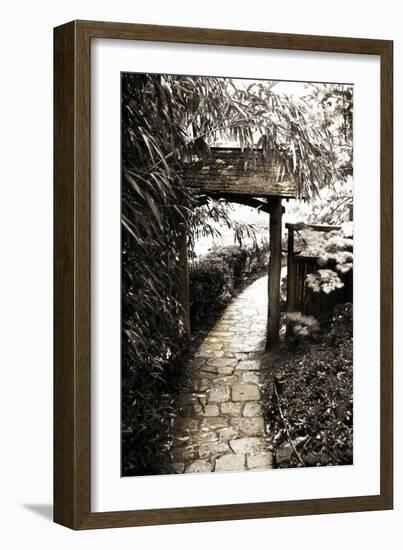 Bamboo Garden I-Alan Hausenflock-Framed Photographic Print