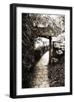 Bamboo Garden I-Alan Hausenflock-Framed Photographic Print