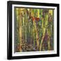 Bamboo Grove I-Nanette Oleson-Framed Art Print