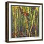 Bamboo Grove I-Nanette Oleson-Framed Art Print