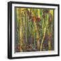 Bamboo Grove I-Nanette Oleson-Framed Art Print