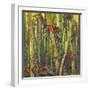 Bamboo Grove I-Nanette Oleson-Framed Art Print