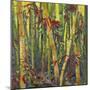 Bamboo Grove I-Nanette Oleson-Mounted Art Print