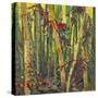 Bamboo Grove I-Nanette Oleson-Stretched Canvas