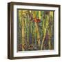 Bamboo Grove I-Nanette Oleson-Framed Art Print