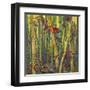 Bamboo Grove I-Nanette Oleson-Framed Art Print