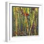 Bamboo Grove I-Nanette Oleson-Framed Art Print