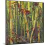 Bamboo Grove I-Nanette Oleson-Mounted Art Print