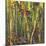 Bamboo Grove I-Nanette Oleson-Mounted Art Print