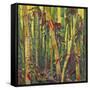 Bamboo Grove I-Nanette Oleson-Framed Stretched Canvas