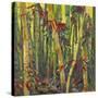 Bamboo Grove I-Nanette Oleson-Stretched Canvas