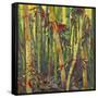 Bamboo Grove I-Nanette Oleson-Framed Stretched Canvas