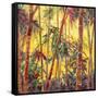 Bamboo Grove II-Nanette Oleson-Framed Stretched Canvas