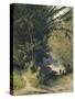 Bamboo Grove in Trinidad-Jean-michel Cazabon-Stretched Canvas