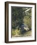 Bamboo Grove in Trinidad-Jean-michel Cazabon-Framed Giclee Print