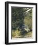 Bamboo Grove in Trinidad-Jean-michel Cazabon-Framed Giclee Print