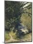 Bamboo Grove in Trinidad-Jean-michel Cazabon-Mounted Giclee Print