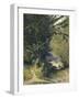 Bamboo Grove in Trinidad-Jean-michel Cazabon-Framed Giclee Print