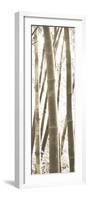 Bamboo Grove IV-Douglas Yan-Framed Giclee Print