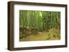 Bamboo grove-Shin Terada-Framed Photographic Print