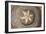 Bamboo Hat, Bohol Island, Philippines-Keren Su-Framed Photographic Print