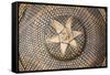 Bamboo Hat, Bohol Island, Philippines-Keren Su-Framed Stretched Canvas