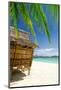 Bamboo Hut On A Tropical Beach-null-Mounted Art Print