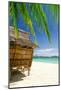 Bamboo Hut On A Tropical Beach-null-Mounted Art Print